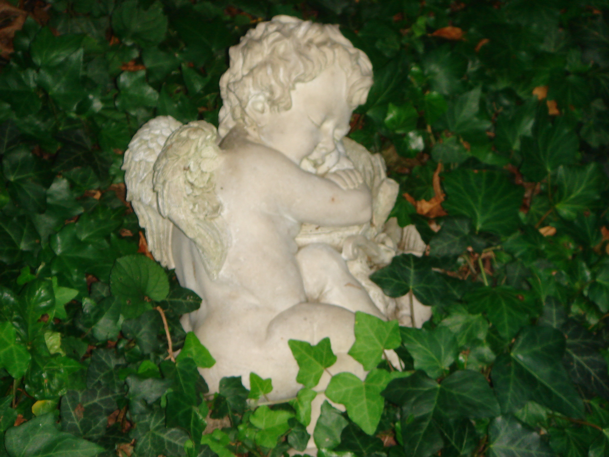 Gartenimpressionen